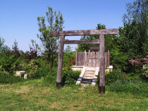 Animism trumps Ancestor Worship - Green Shinto