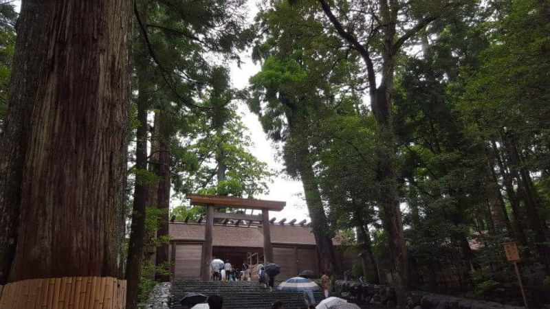 The Phenomenality of Japan's Sacred Shinto Trees - IES