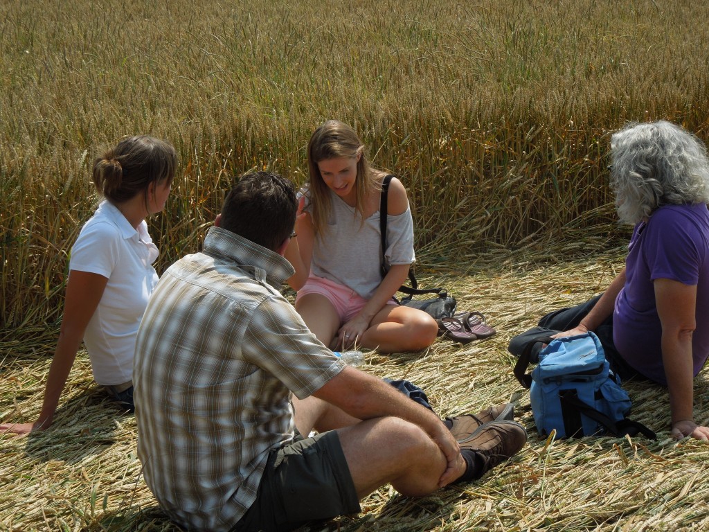 Crop circle discussion