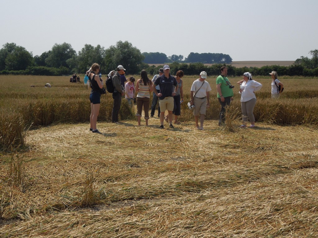 Crop circle near Avebury