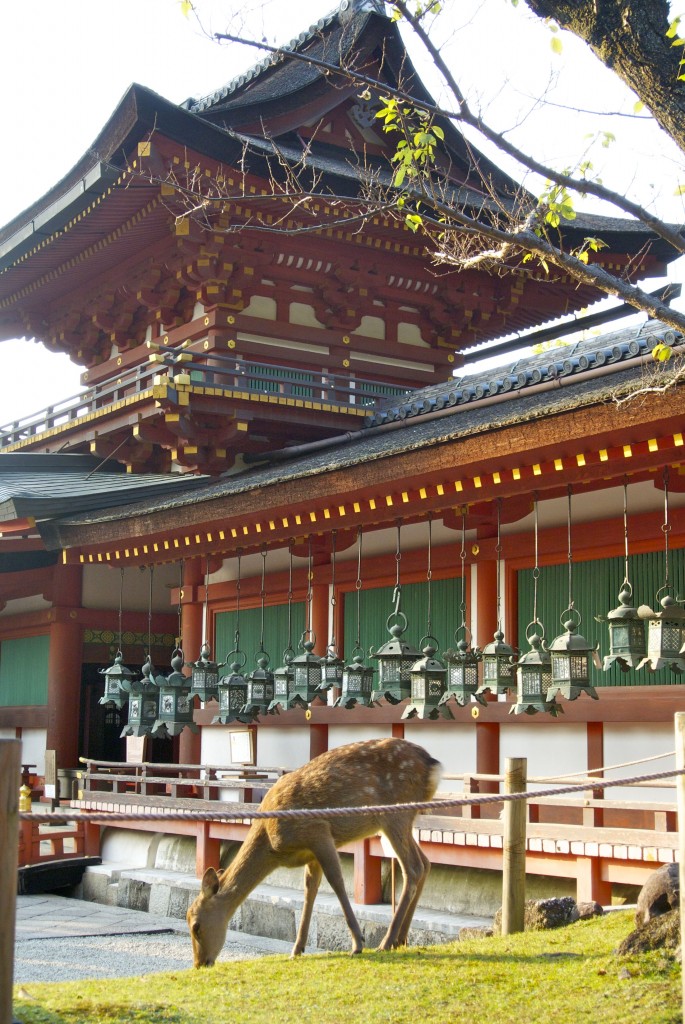 Kasuga Taisha