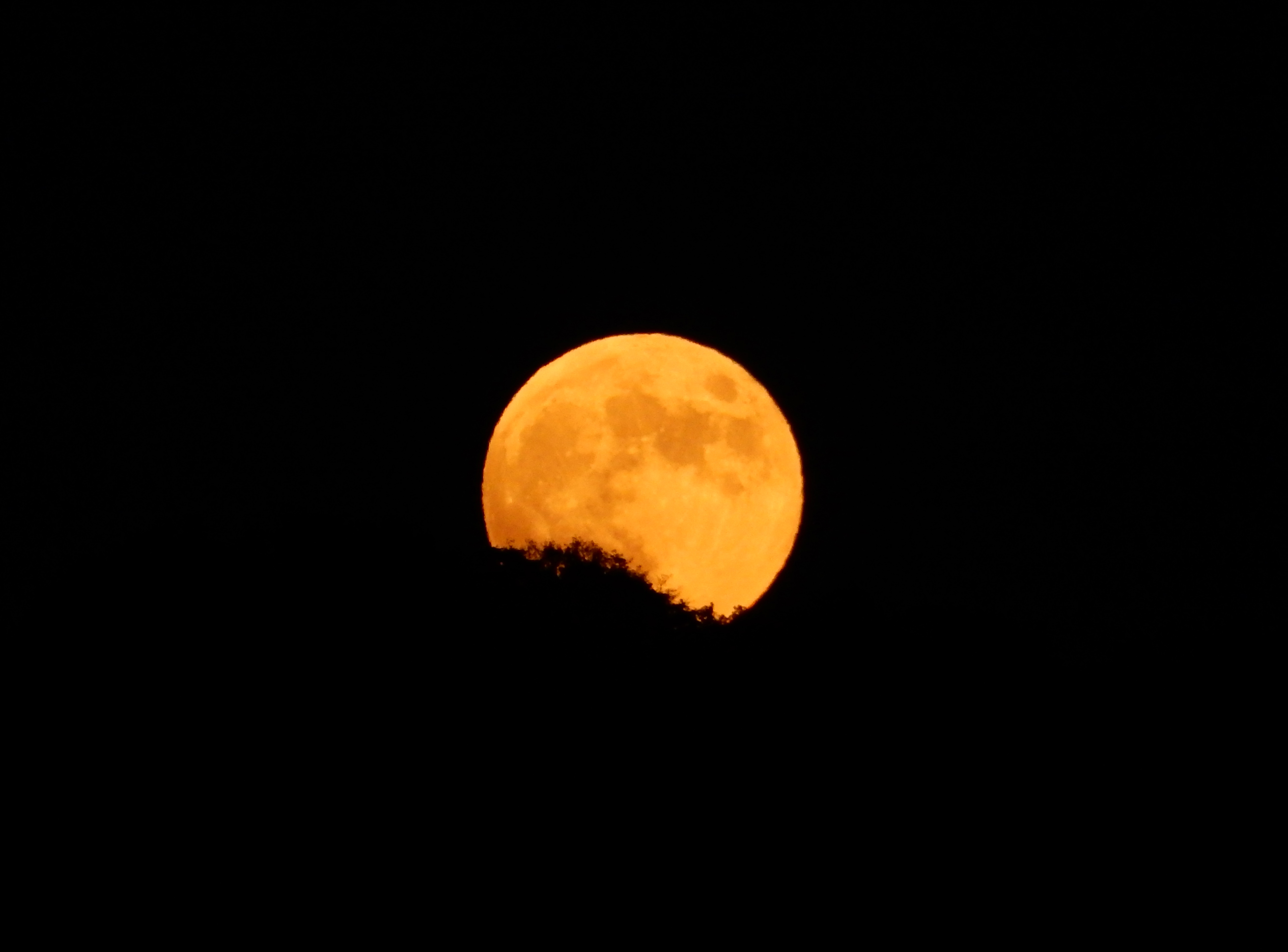 Tonight's blood moon rises behind Kyoto's Eastern Hills