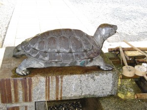 A turtle at Matsuo Taisha spouting water into the temizuya (water basin)