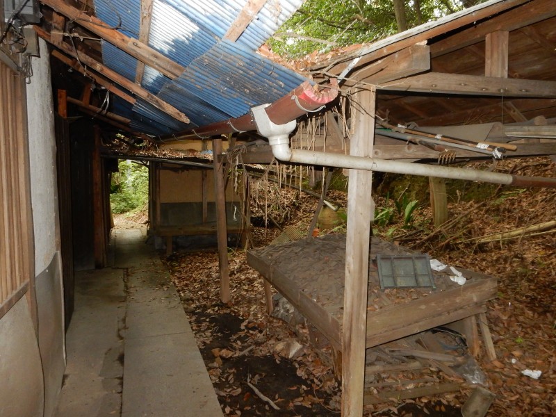 Disused and untended, the shrine buildings have been abandoned to nature