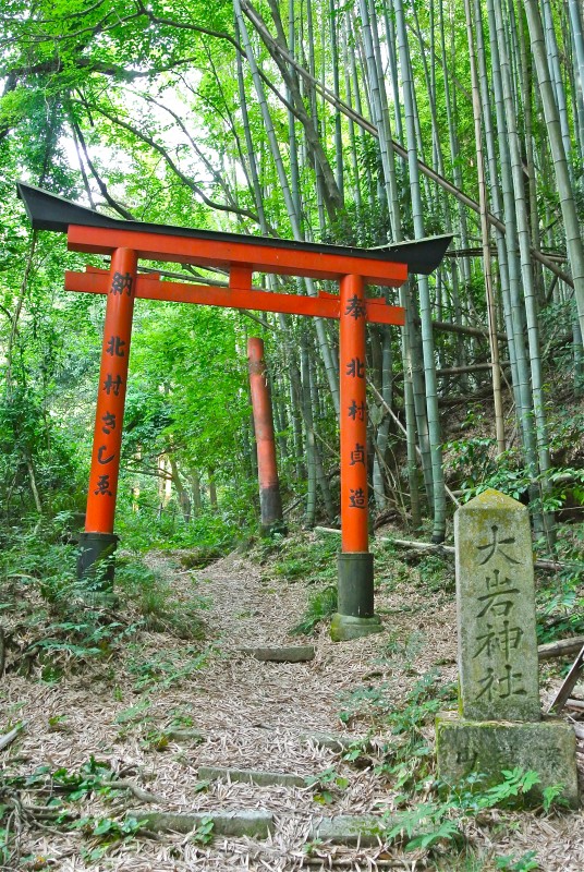 Oiwa torii gate and half-torii