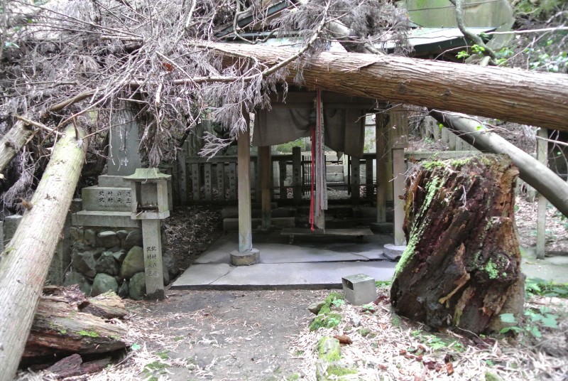 The abandoned shrine will need a lot of money and energy if it is ever to be restored