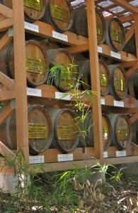 Wine barrels are proudly displayed at the entrance to Meiji Shrine (photo John Dougill)
