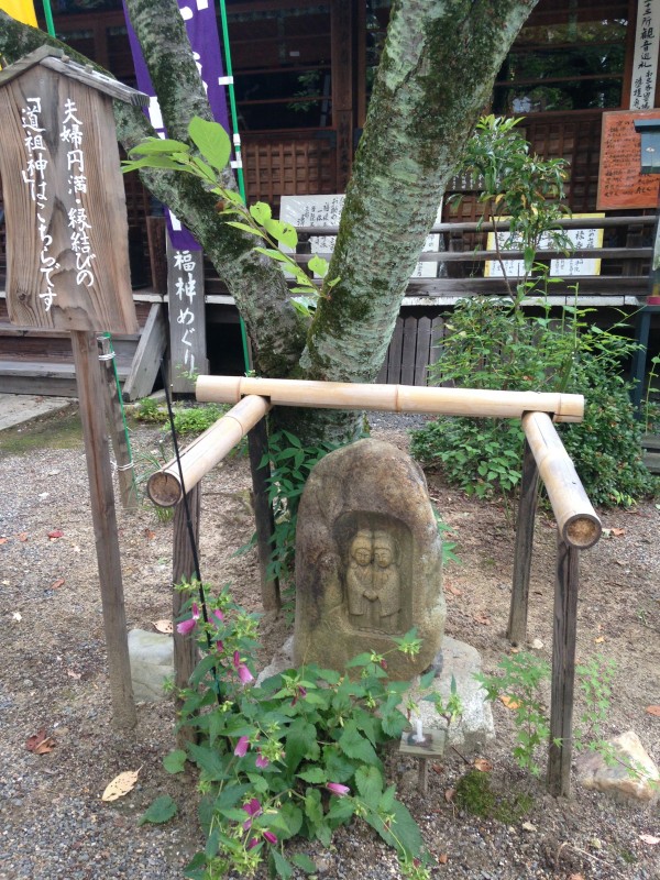 enmusubi tree in a Buddhist temple (Gojo-in)