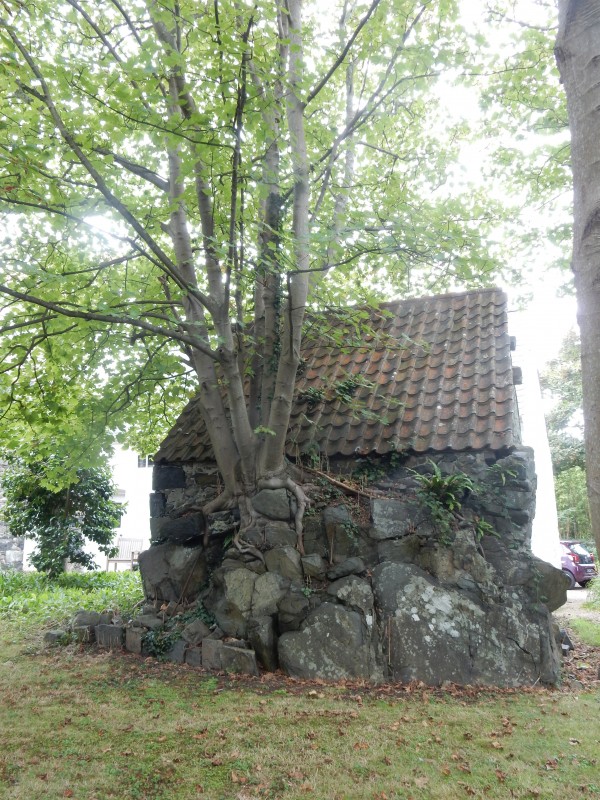 Harmony with nature was evident in this tree house in Guernsey