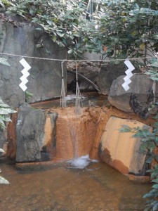 A sacred spring in the small 'forest' at the back of the shrine