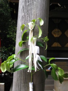 Sakaki branch tied to a torii pillar