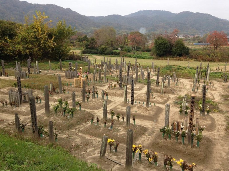 Shinto cemetery (thanks to Keith Adams)