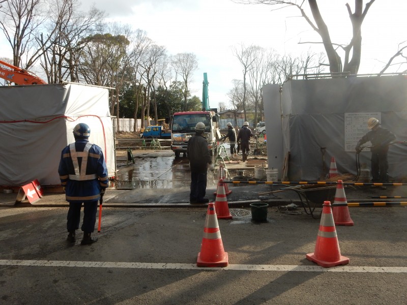 Tadasu destruction of trees