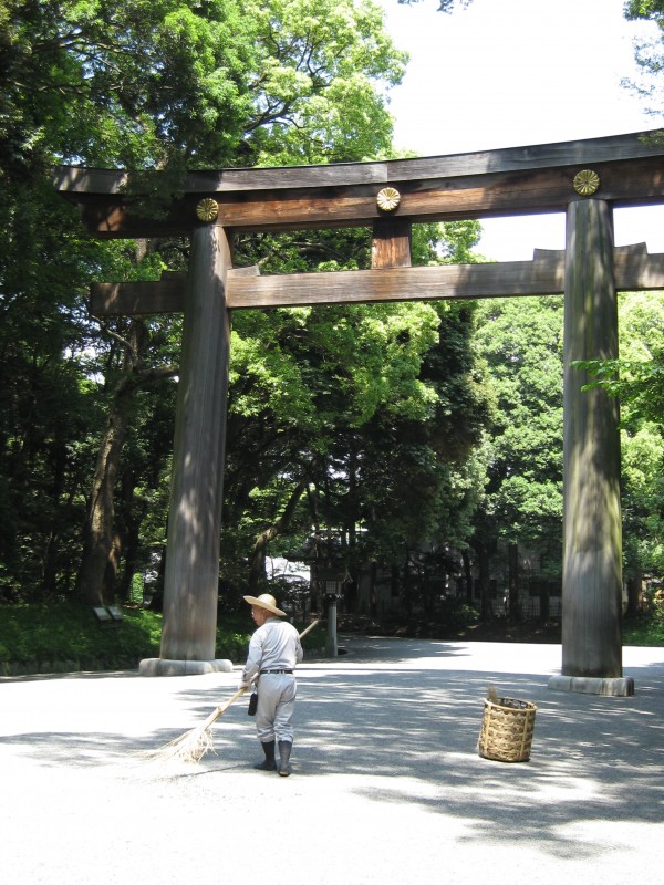 Meiji Shrine woods