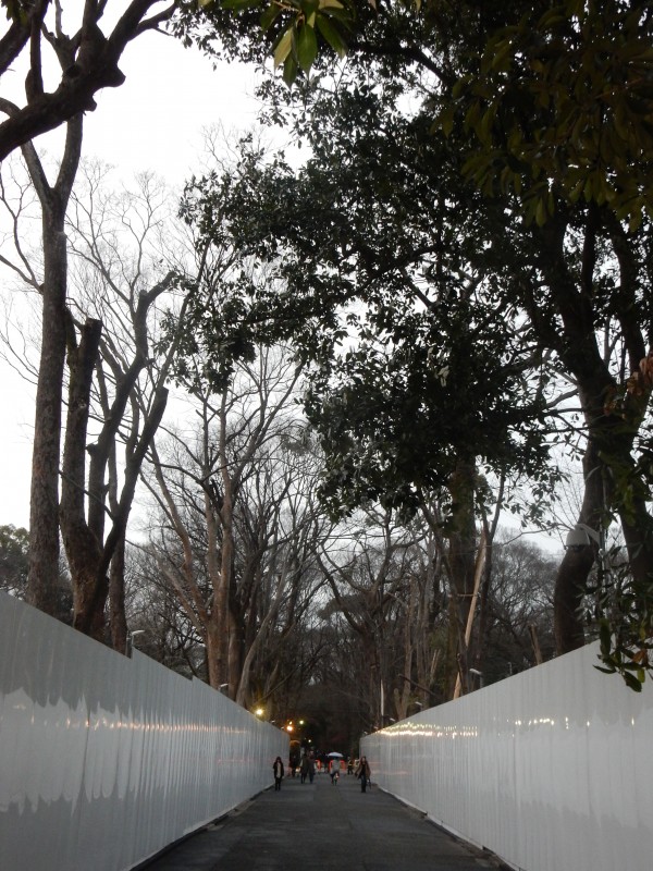 Shimogamo's financial plight has led the shrine to chop down trees either side of these screens, where expensive luxury apartments will replace nature within the precincts of this World Heritage shrine