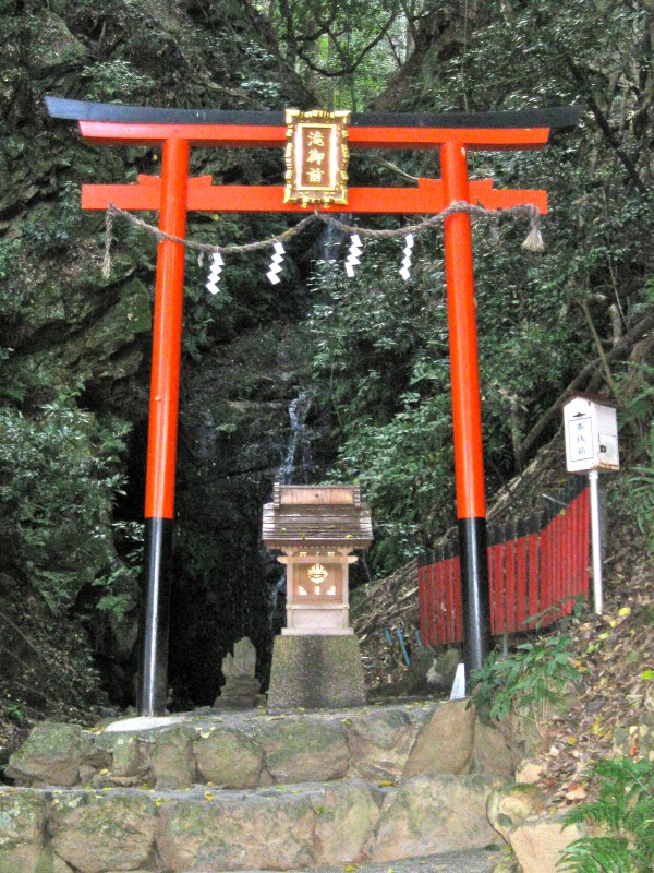 Torii nature