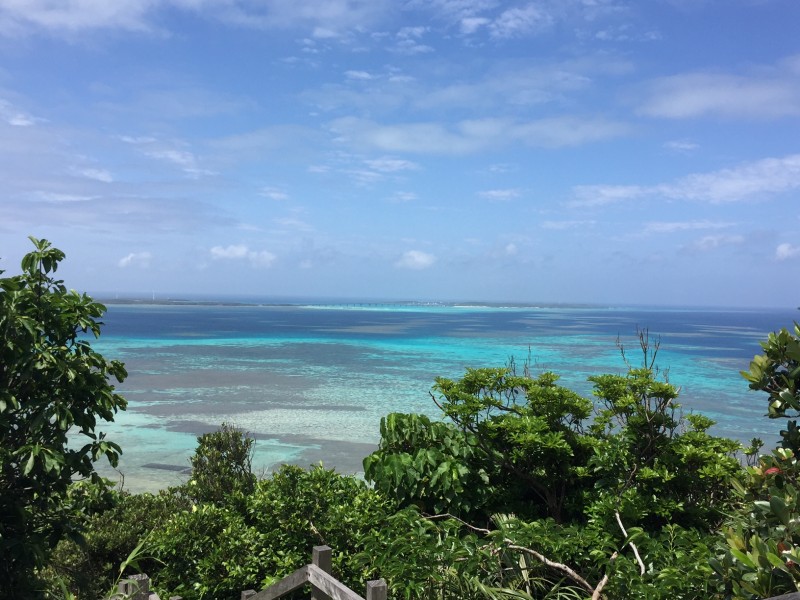 island beauty