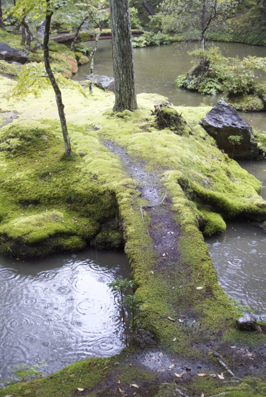 A path to paradise in the lush moss garden of Saiho-ji