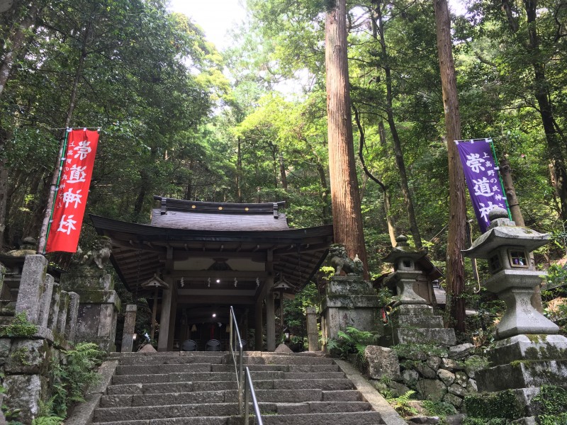 Twin cones at Sudo Shrine