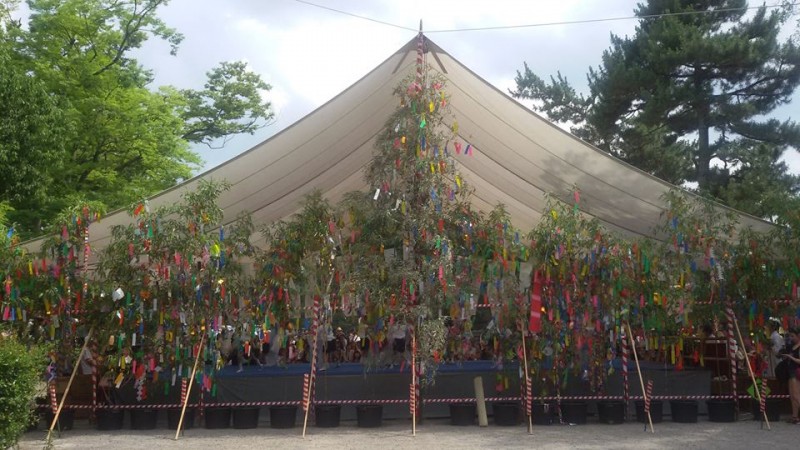 Tanabata (Isil Bayraktar)