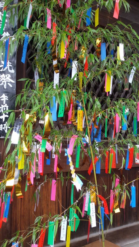 Tanabata (Isil Bayraktar)