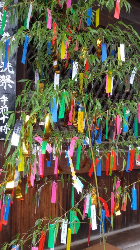 Tanabata (Isil Bayraktar)