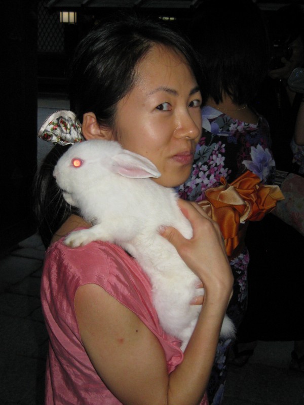 A white rabbit brought by one of the crowd at the Shimogamo Full Moon Festival in 2012