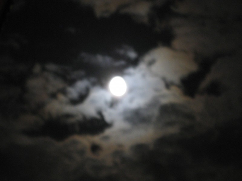 Full moon at Shimogamo
